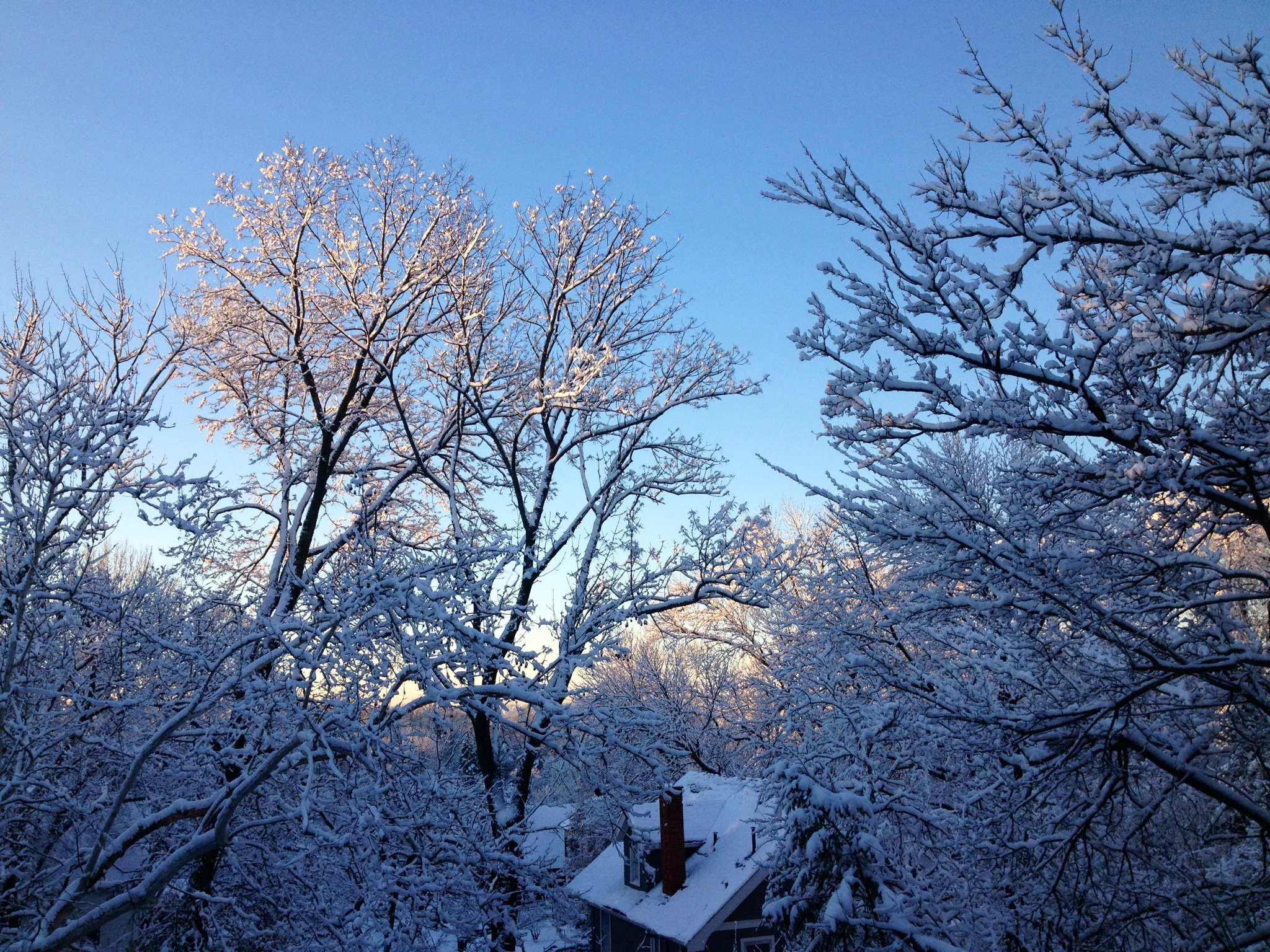Winter view from my window
