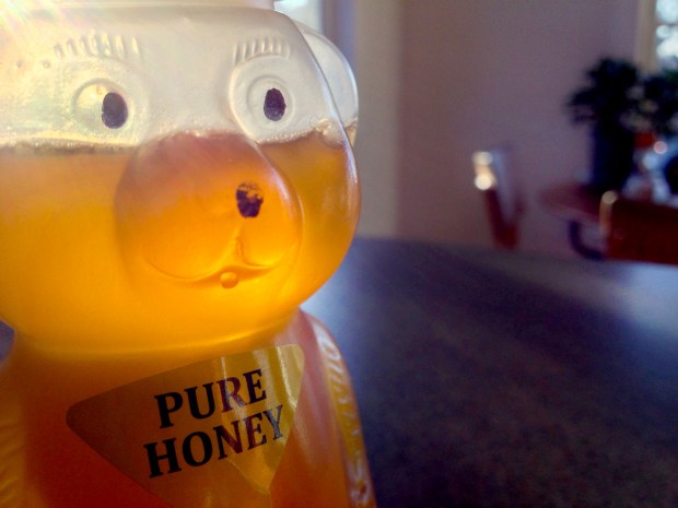 honey bear