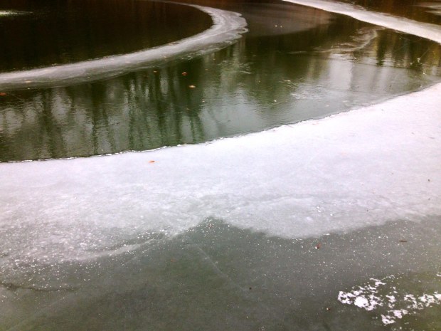 frozen pond