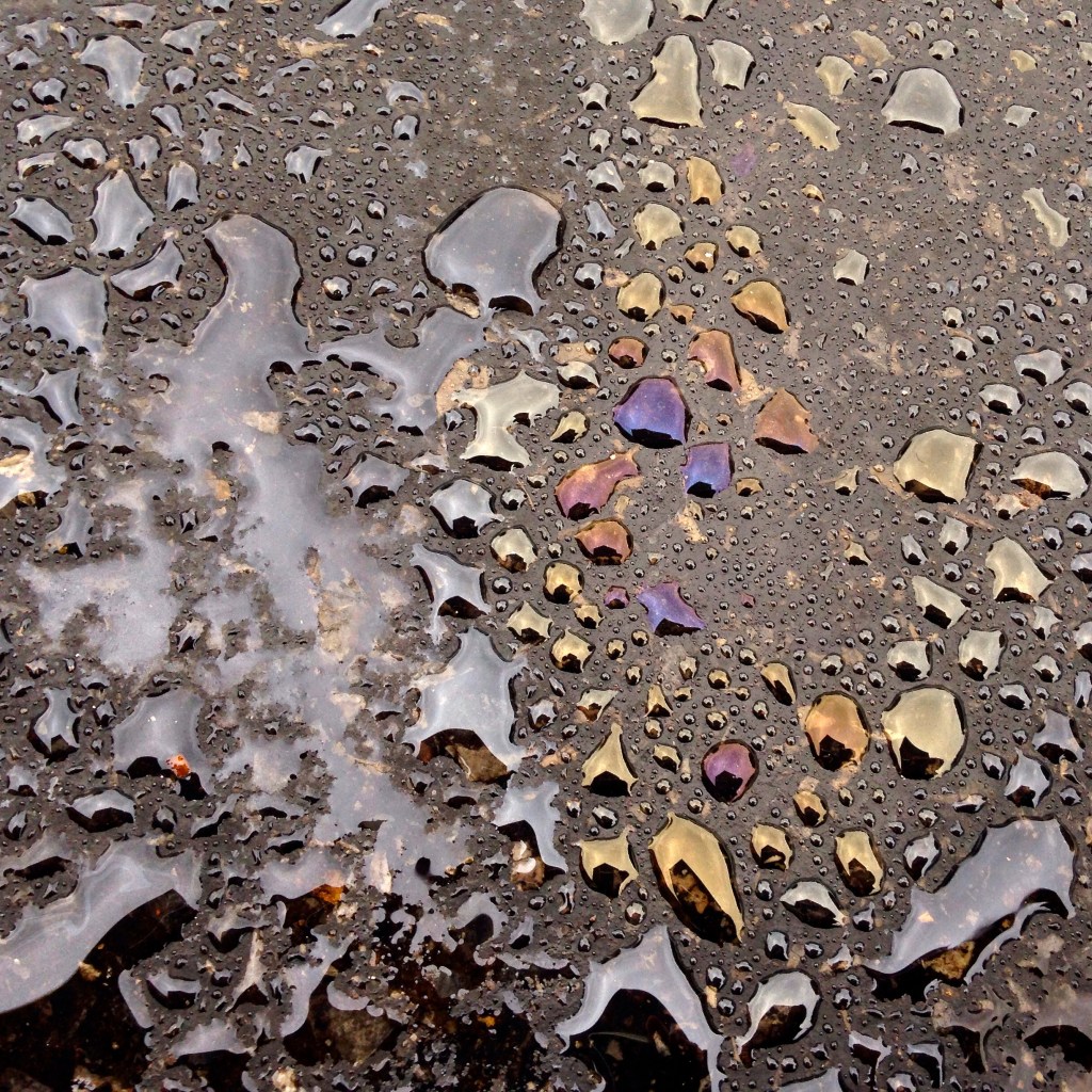 I woke to singing birds and&nbsp;rain