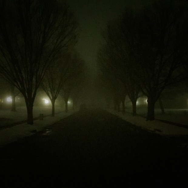 foggy night, snow