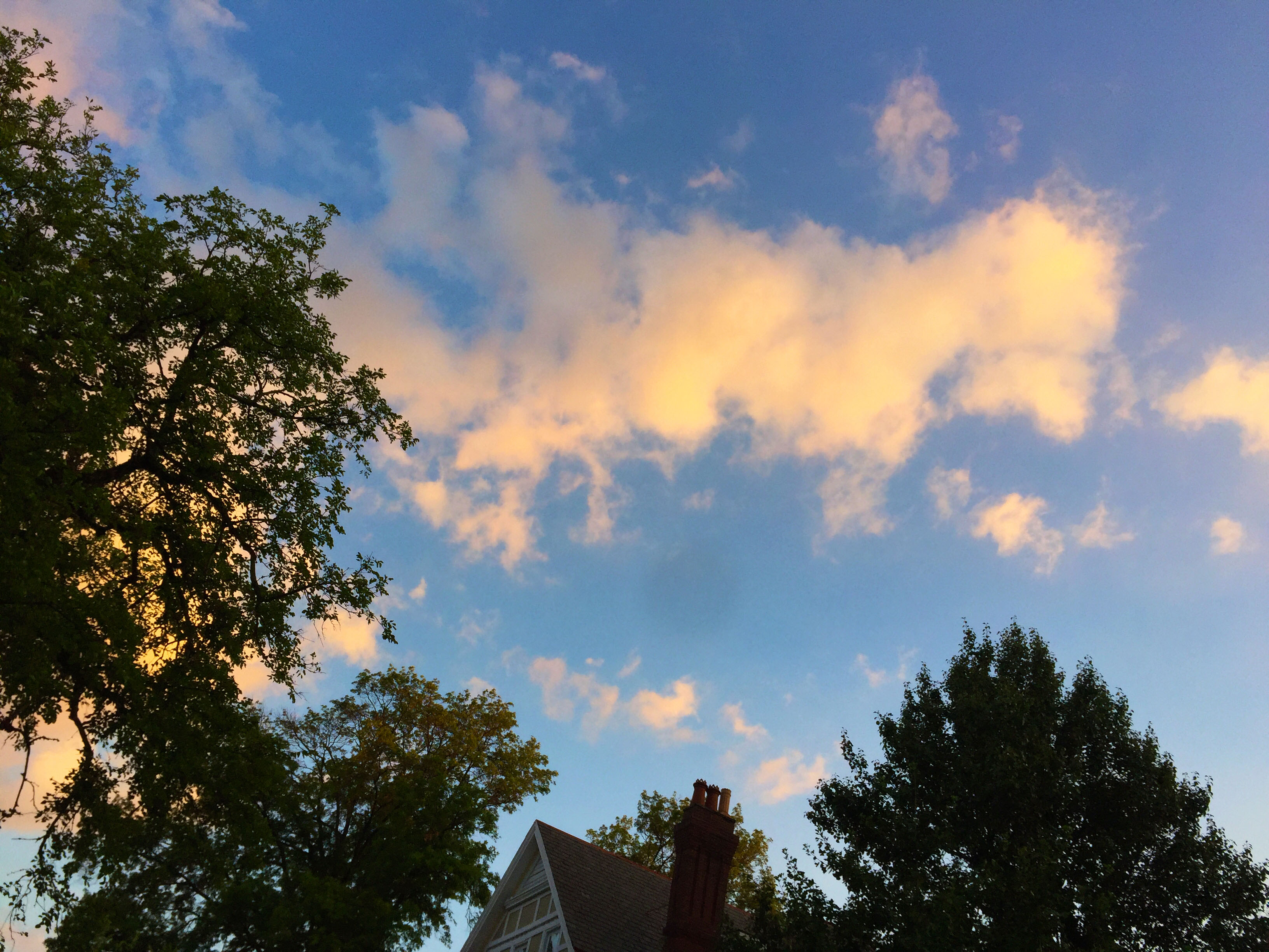Pretty cloud in a blue sky