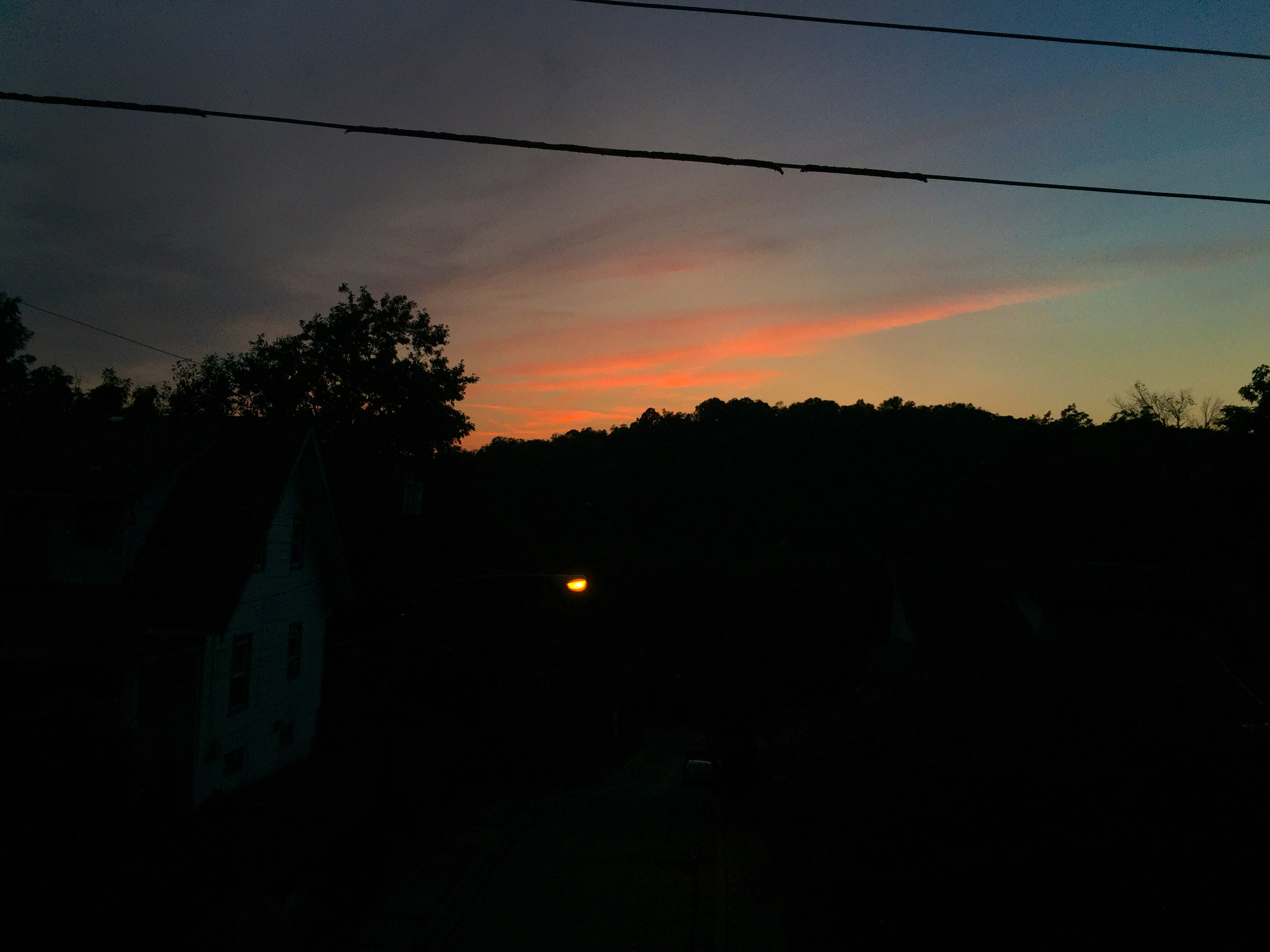 photo of trees, sunset, and a streetlamp