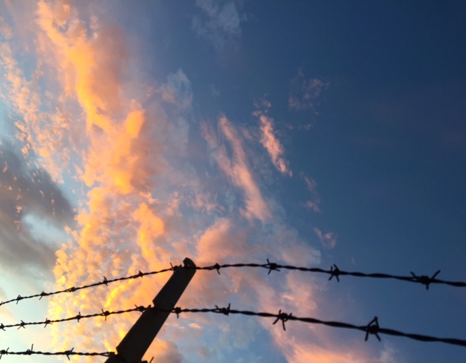 twilight sky and barbed wire