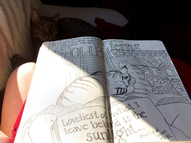 sunny day with image of sketchbook showing a drawing of a cat
